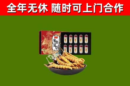 长沙烟酒回收冬虫夏草礼盒.jpg